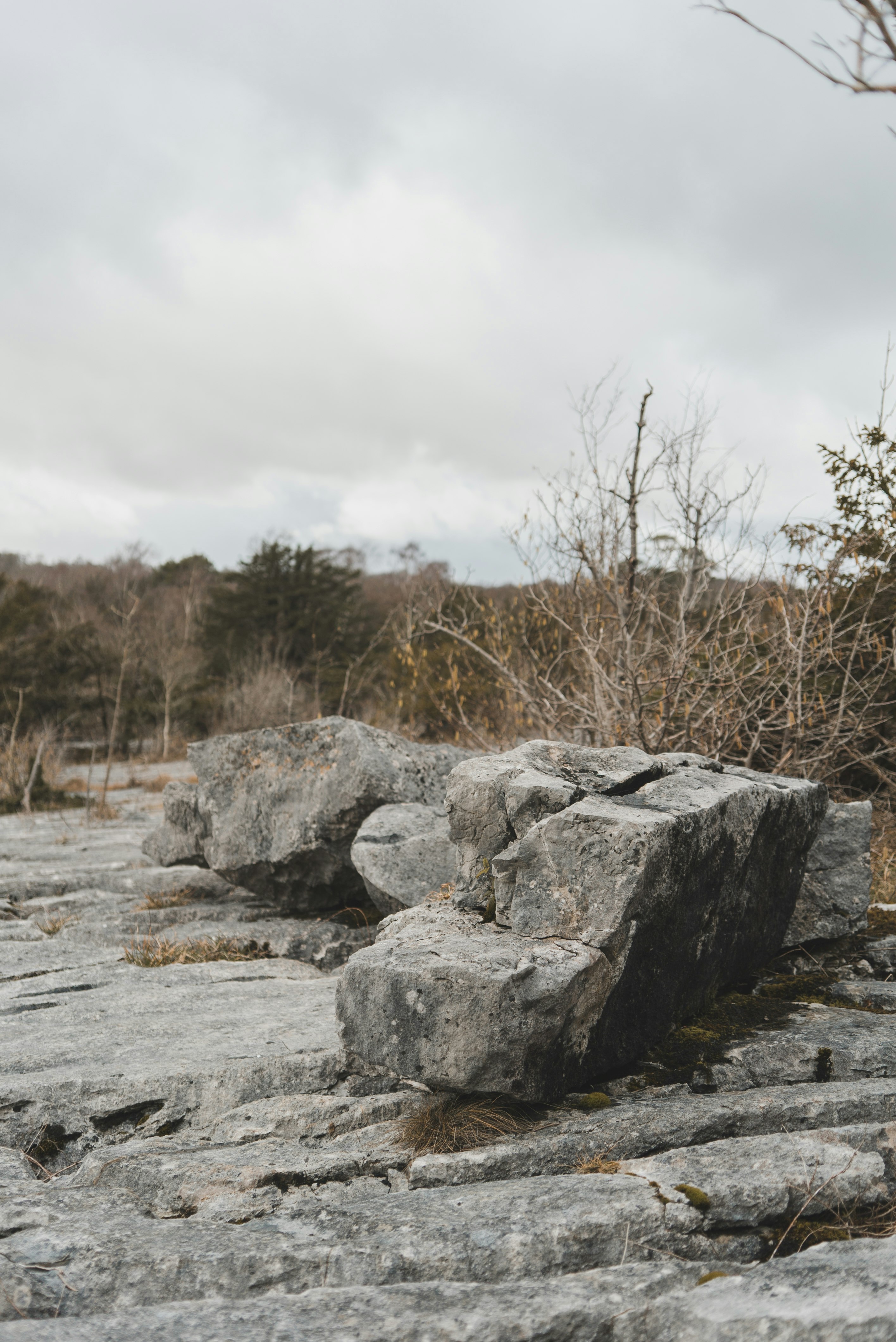 gray and brown rock formation on brown field during daytime